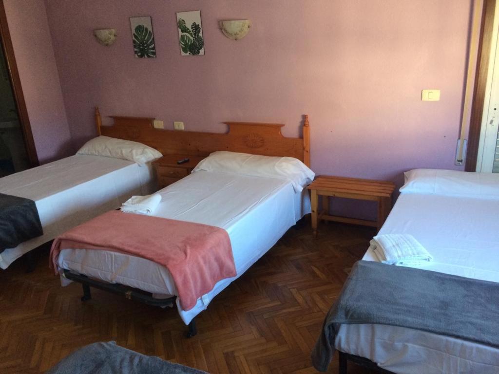 توي Albergue Hostal Telmo المظهر الخارجي الصورة